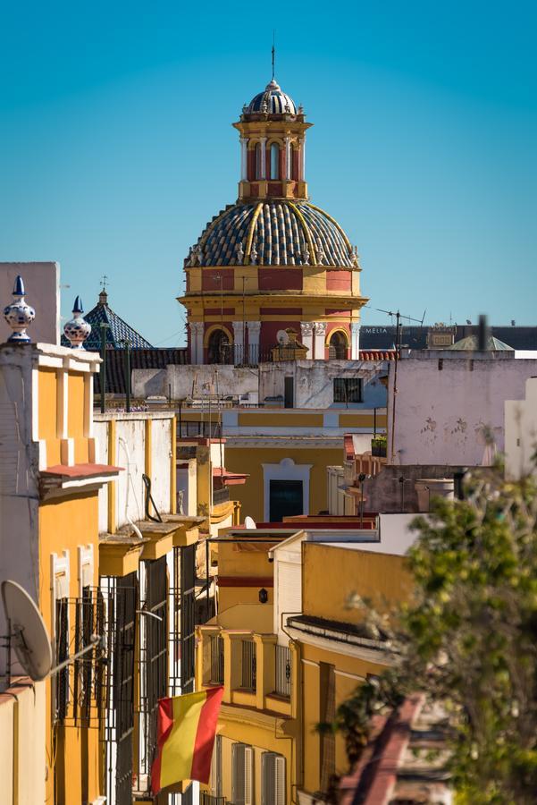 Genteel Alfalfa * Sevilla